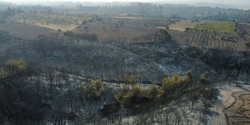 yeni-proje-2.jpg
