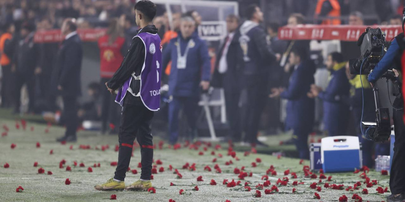 fenerbahoe-karanfil.jpg
