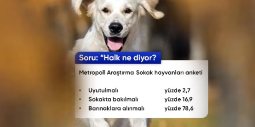 yeni-proje-2024-07-29t222053-988.png