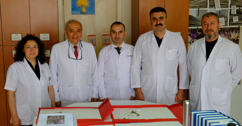 Yeni keşfettiği bitki türüne eşinin adını verdi - Resim : 2