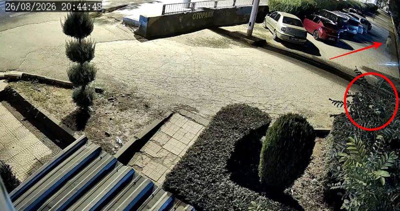 Polise sığındı 20 gün sonra parkta çocuğunun gözü önünde vuruldu! 'Geliyorum' diyen kadın cinayeti - Resim : 4