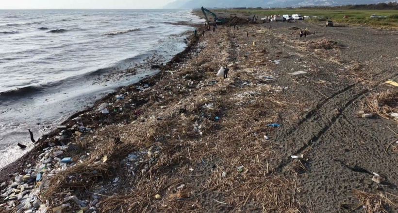 Hatay'da deniz çamura bulandı! Vatandaş sahile odun toplamaya koştu - Resim : 3