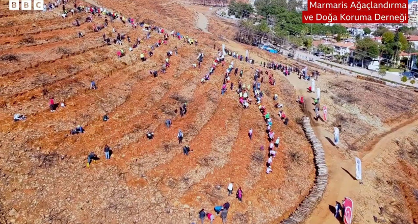 Milas'ta yanan orman alanından yeni fidanlar değil beton villalar fışkırdı! Talan kamerada - Resim : 16