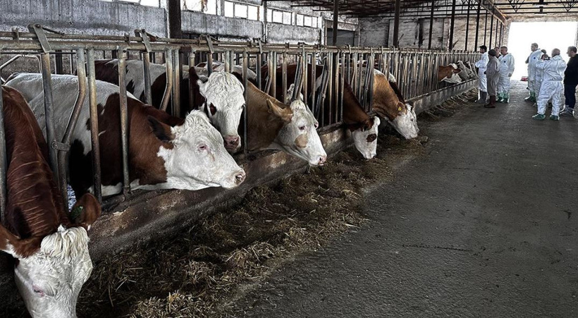 Vaka tespit edildi! Hayvan pazarının kapısına kilit vuruldu - Resim : 2