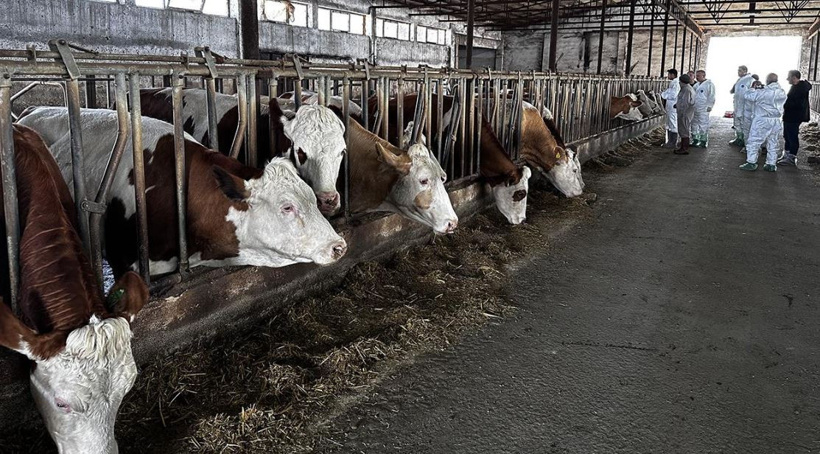 Alarm verildi hayvan pazarı apar topar kapatıldı - Resim : 1