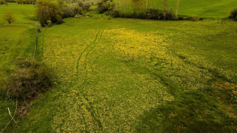 Kırmızı kirazın anavatanı bu mevsim sarıyı seçti: Barajın çevresi çiçeklerle kaplandı - Fotoğraf: 7