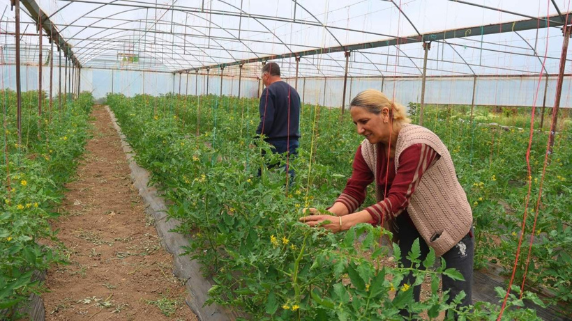 Ata toprağında kök salan başarı: Iğdırlı çift 30 aileye istihdam kapısı açtı