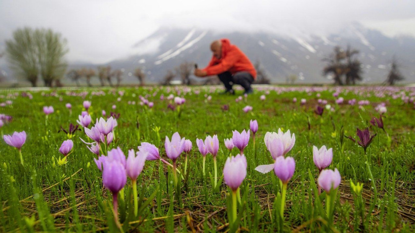 Karların içinden fışkırdılar: Tunceli'nin endemik çiçekleri bahar ile açtı - Fotoğraf: 5