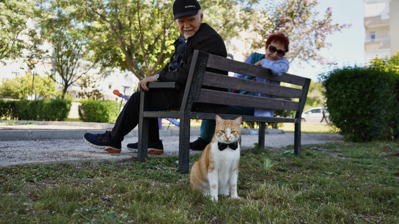 Eve hapsolan emeklinin imdadına bir sokak kedisi yetişti