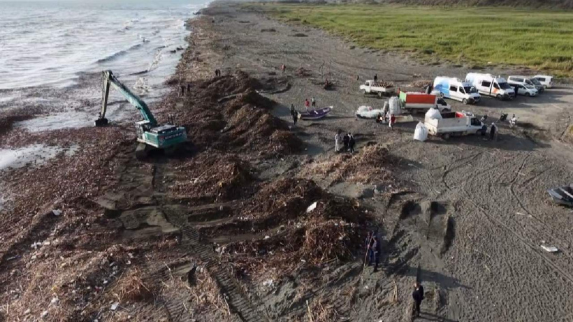 Hatay'da deniz çamura bulandı! Vatandaş sahile odun toplamaya koştu