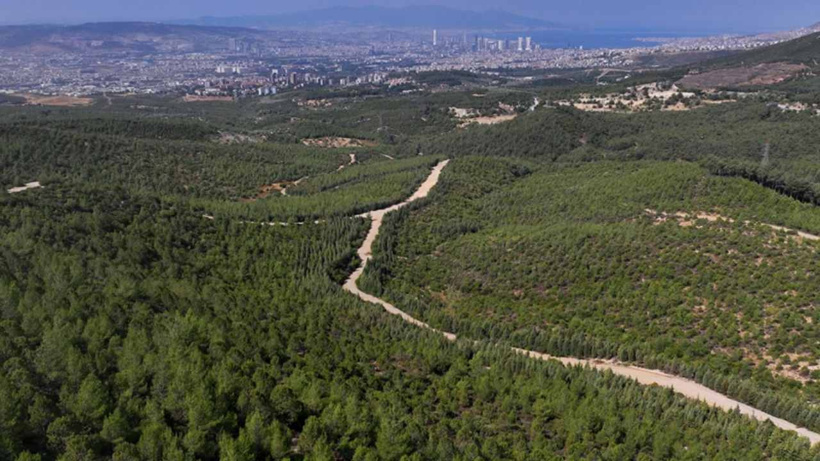 İzmir'de ormana girmek 31 Ekim'e kadar yasak