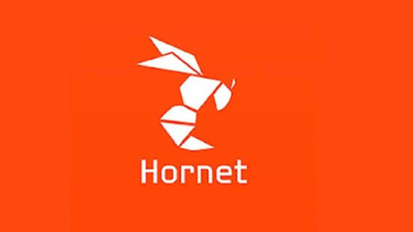 Son Dakika | "Hornet" isimli uygulamaya soruşturma