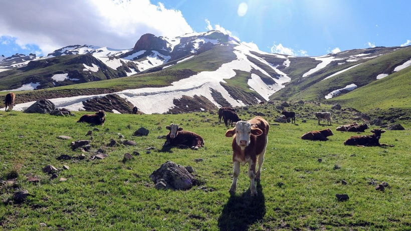 Kış bitmeden yaz geldi: Zor Vadisi'nde iki mevsim bir arada yaşanıyor - Fotoğraf: 2