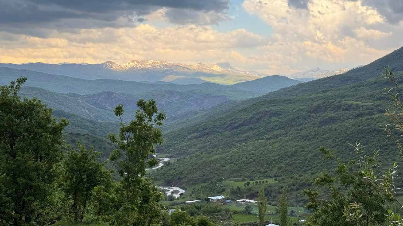 Şırnak'ta ormanlara girişler yasaklandı