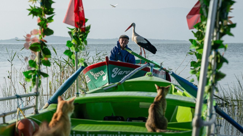 Aşıklar buluştu: Yaren leyleğin eşi Nazlı leylek döndü - Fotoğraf: 2