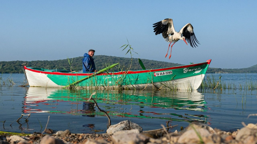 Aşıklar buluştu: Yaren leyleğin eşi Nazlı leylek döndü - Fotoğraf: 6