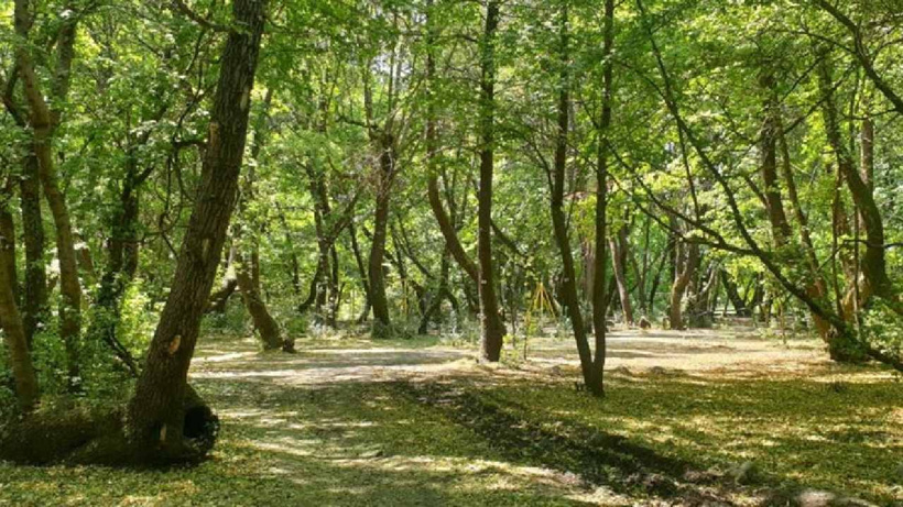 Bakandan orman yangınlarına karşı uyarı