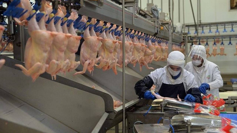 Son Dakika | Beyaz et sektöründe kayyum sonrası marketlere fiyat cezası: 10 milyon lira kesildi