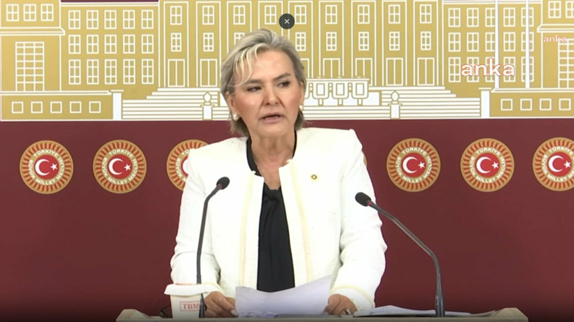 İstanbul Milletvekili Nimet Özdemir, CHP'den istifa etti