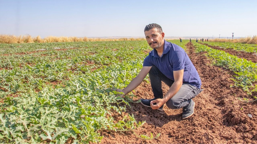 Türkiye'nin en güzel meyvesi bu sene geç gelecek, az olacak