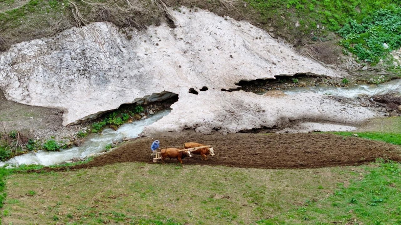 Bu köyde traktör yok! Tarlalar 8 bin yıllık yöntemle sürülüyor - Fotoğraf: 6