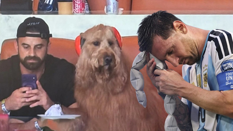 Başına gelene Messi de inanamadı: Kulaklıkla maçı izleyen tribündeki köpek de!