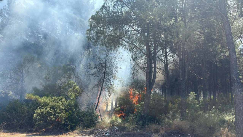 İzmir'deki orman yangınının çıkış sebebi belli oldu! 1 kişi tutuklandı