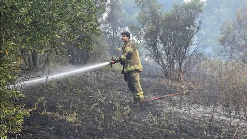 Bursa'daki yangında 4 dönüm küle döndü
