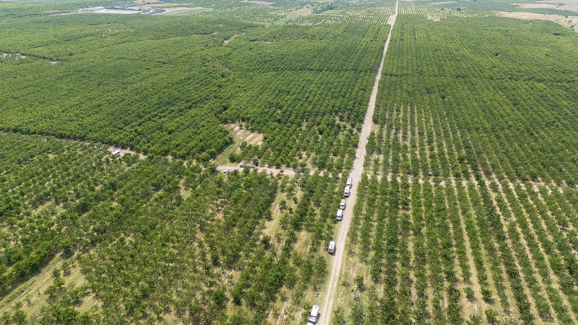 Köydeki tarlaların hepsini birleştirdiler: Sonu gelmeyen dev arazide verimleri 30 kat arttı