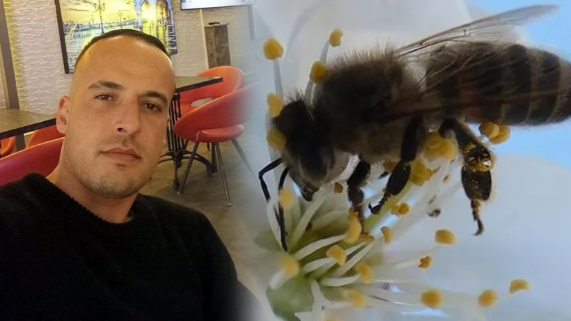 Arının şah damarından soktuğu genç esnaf öldü! Bu belirtilere sakın göz yummayın