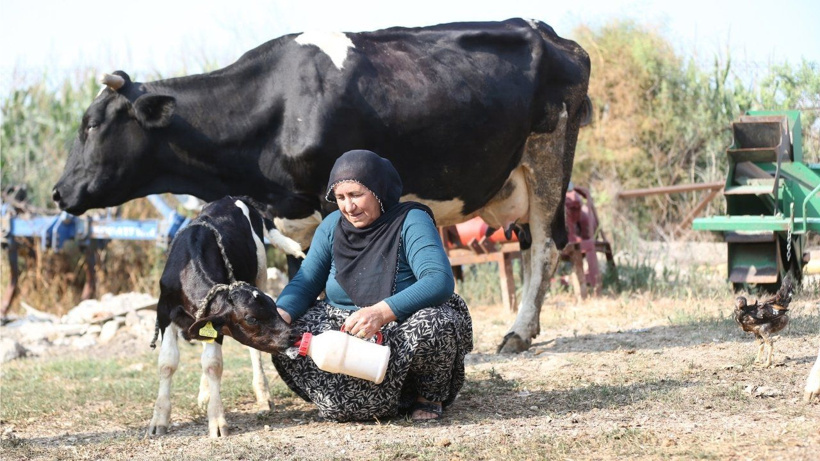 Yüz binde bir görülen mucize Adana'da yaşandı: 40 yıllık besici bile gözlerine inanamadı - Fotoğraf: 6