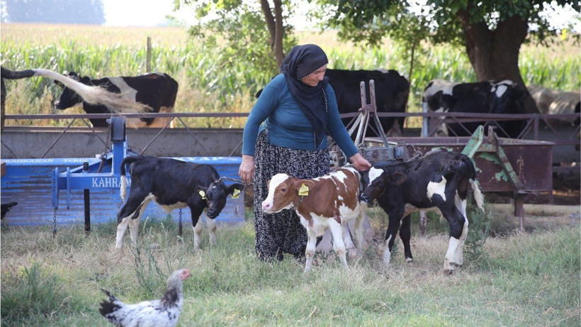 Yüz binde bir görülen mucize Adana'da yaşandı: 40 yıllık besici bile gözlerine inanamadı - Fotoğraf: 2