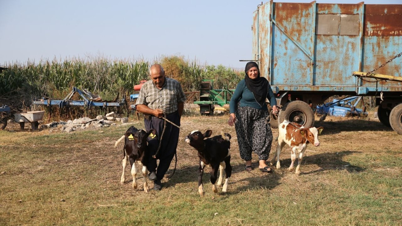 Yüz binde bir görülen mucize Adana'da yaşandı: 40 yıllık besici bile gözlerine inanamadı - Fotoğraf: 3