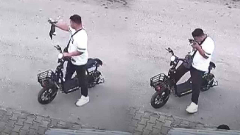 Yavru kediyi boğup öldüren otizmli çocuk serbest bırakıldı