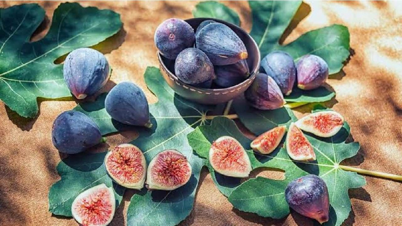 Büyükannelerimizin ilacı, bizim unuttuğumuz hazine - Fotoğraf: 2