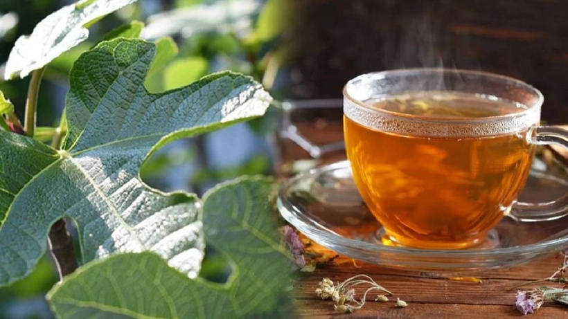 Büyükannelerimizin ilacı, bizim unuttuğumuz hazine - Fotoğraf: 3