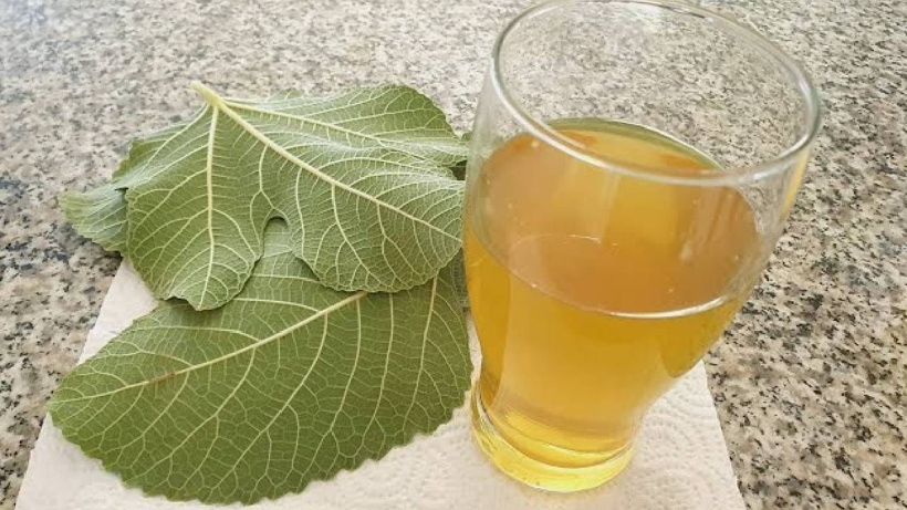 Büyükannelerimizin ilacı, bizim unuttuğumuz hazine - Fotoğraf: 6