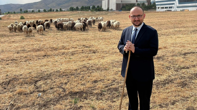Koyun fotoğrafı AKP'lileri sinirlendirdi, rektörden açıklama geldi