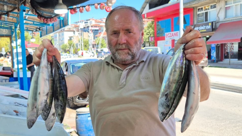 Yasak kalktı ağlar doldu: Tanesi 100 liradan tezgaha indi