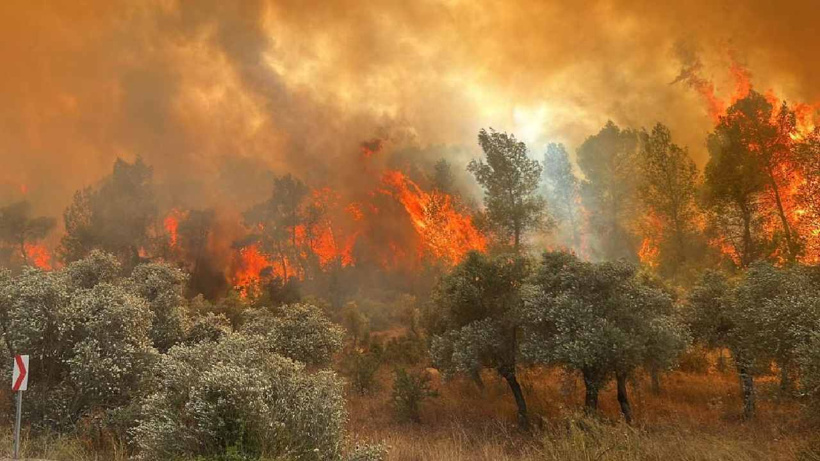 Son dakika | Orman yangınlarının bilançosu: 11 kişi tutuklandı