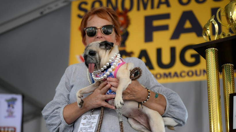 Dünyanın en çirkin köpeği seçildi: Dondurucu soğukta ölüme terk edilmişti - Fotoğraf: 13