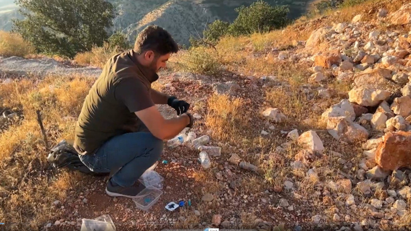 16 çekirgeyle yakalandılar 1,4 milyon TL ceza yediler! Uzmandan “genetik çalışma” uyarısı!