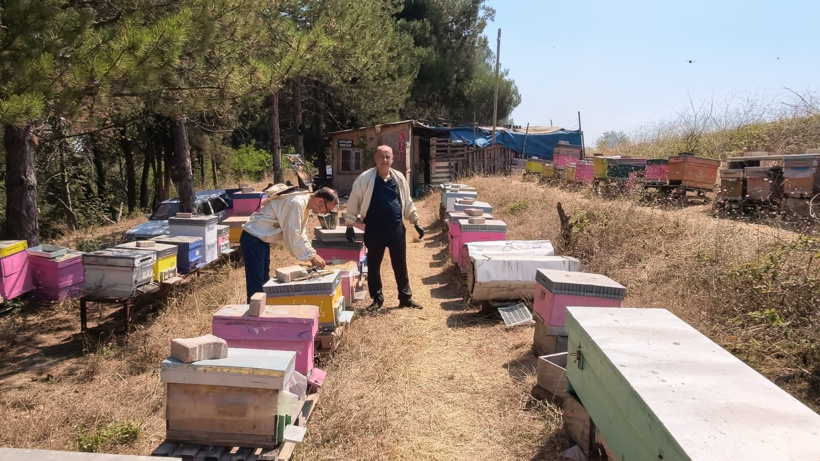 Babasının hastalığı için başladı şimdi siparişlere yetişemiyor: Sayısı 1 milyon 200 bini buldu - Fotoğraf: 3
