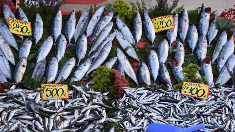 Denizlerde yasak gece yarısı bitiyor: 250 liraya da var 800 liraya da!