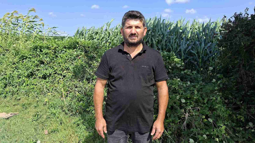 Tarlada kilosu 30 liradan satılıyor: Türkiye'nin dört bir yanına gönderiliyor - Fotoğraf: 4