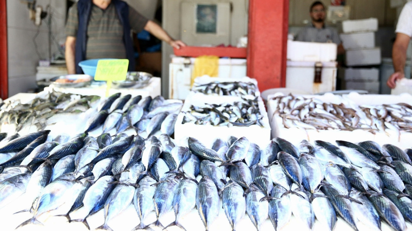 Karadeniz'in dört büyükleri şov yaptı: İlk günden tezgahlar doldu doldu taştı - Fotoğraf: 7