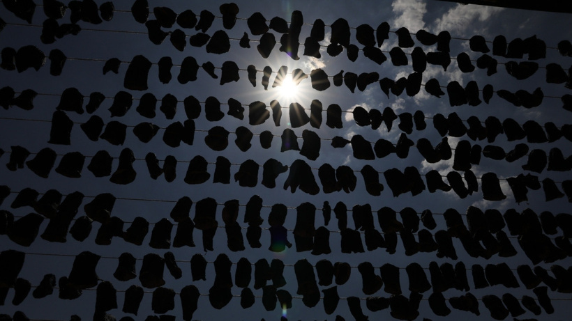 40 derece sıcakta dağlara seriyorlar: Haftada 200 ton üretilip tüm dünyaya gönderiliyor - Fotoğraf: 3