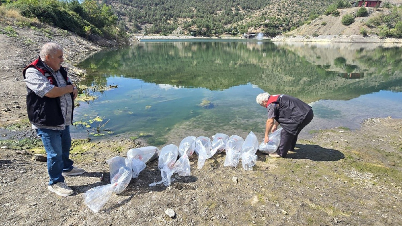 Poşet poşet getirip doğaya saldılar: Hayırlı olsun