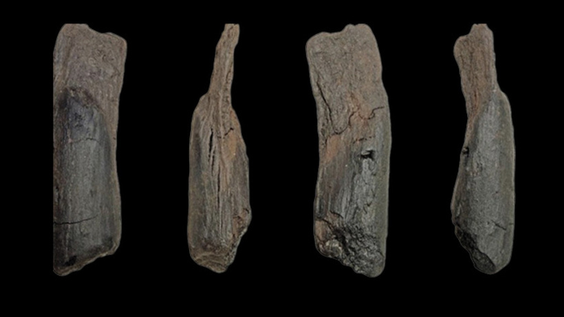 Tam 430 bin yıllık: İnsanların kullandığı en eski el aletleri bulundu!