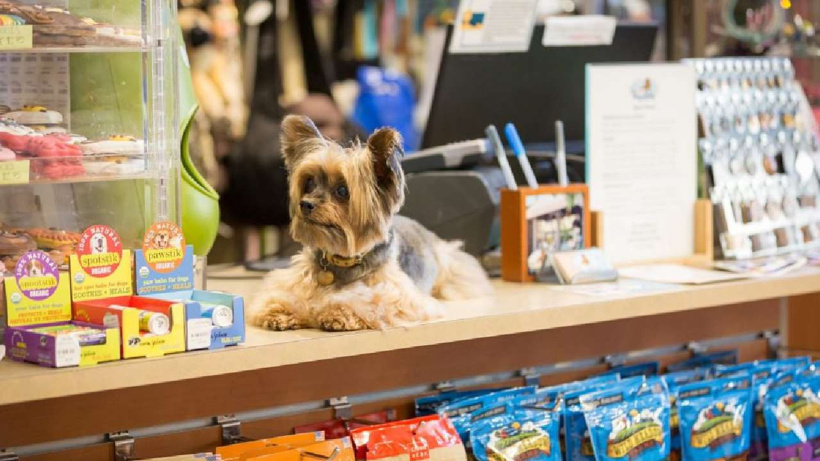 Köpek satın almak isteyenlere belge şartı